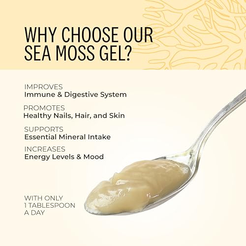 All-Natural Organic Sea Moss Gel 300ml | 100% Wildcrafted Caribbean Dr Sebi Sea Moss | Mineral-Rich Superfood for Immunity, Energy & Gut Health | Vegan, Gluten-Free