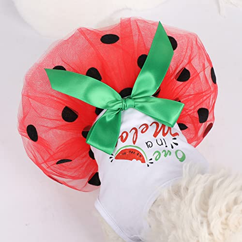 Dog Dress For Small Medium Dogs Girl Watermelon Polka Dots Mesh Dress Dog Outfit, Summer Tutu Dog Dresses Cat Apparel, Cute Pet Puppy Clothing Doggie Outfits, Red, Medium #TOP5