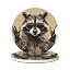 Raccoon Rock
