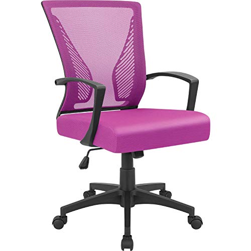 Furmax Office Chair Ergonomic Computer Desk Mesh Chair Mid Back Swivel Lumbar Support with Armrest (1, Pink)