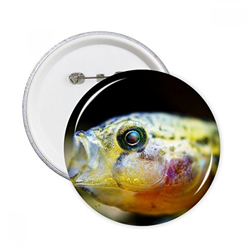 Badge rond poisson tropical XL pour décoration de vêtements et accessoires marins