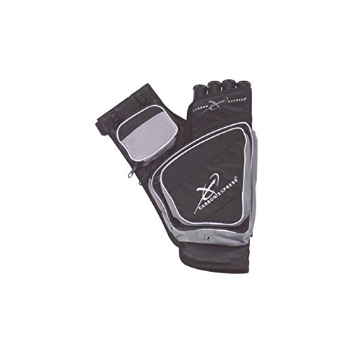 Carbon Express Target Quiver - Black/Silver - RH