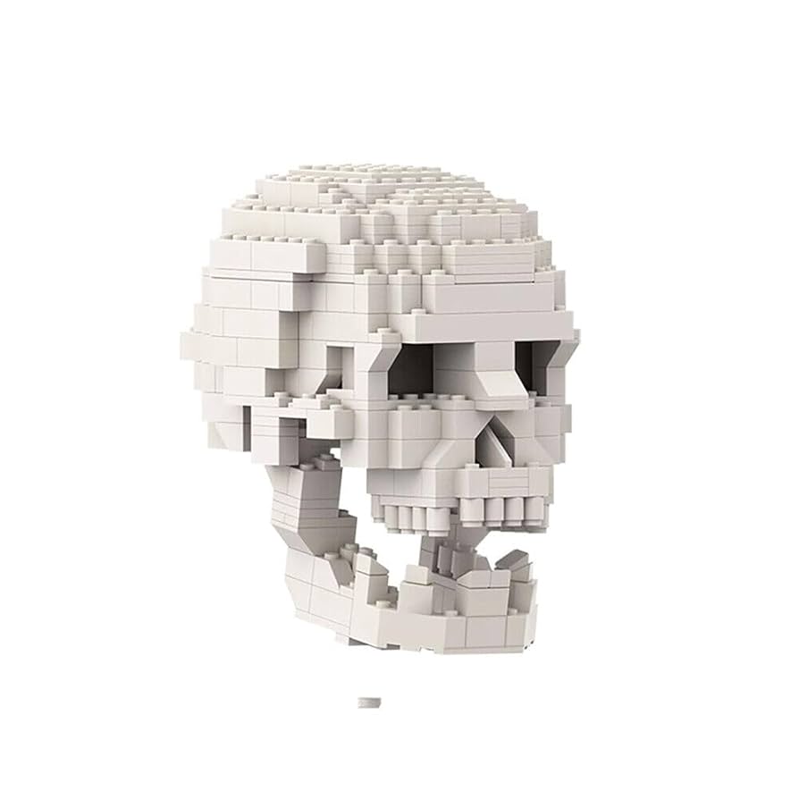 Amazon.com: ZITIANYOUBUILD Human Skull with Brain Model