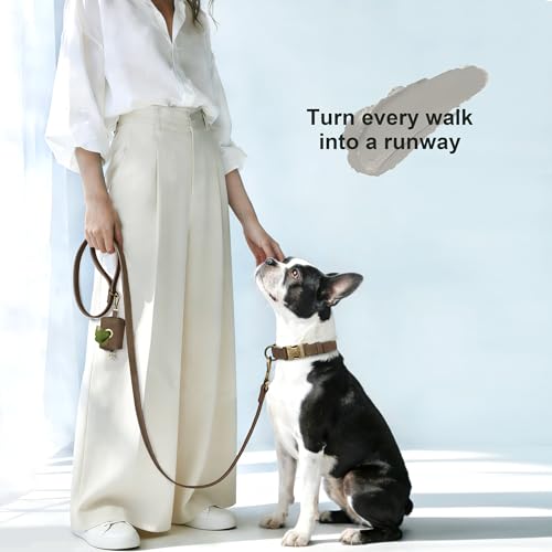 Didog Hundehalsband aus weichem Kunstleder, elegant, mit Schnellverschluss für mittelgroße Hunde, leicht zu reinigen, verstellbares Halsband für den täglichen Spaziergang, braun, Größe M für