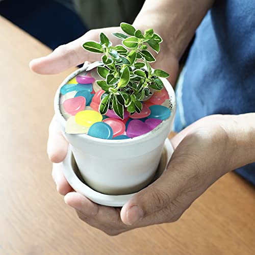 Himi Store Premium Glow In The Dark Pebbles, 100 Colorful Glowing Stones - Perfect Glow Rocks For Garden, Potted Plant, Flower Bed, Fish Tank Aquarium, Decorative Vases #TOP4