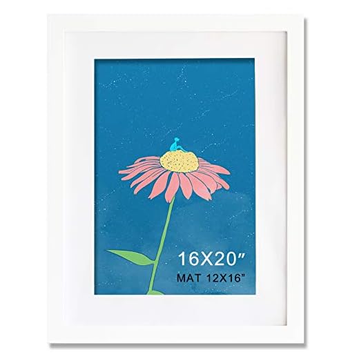 KAOIKO 16x20 Frame White Solid Wood With Mat 12x16 Wall Picture Poster Photo frames…