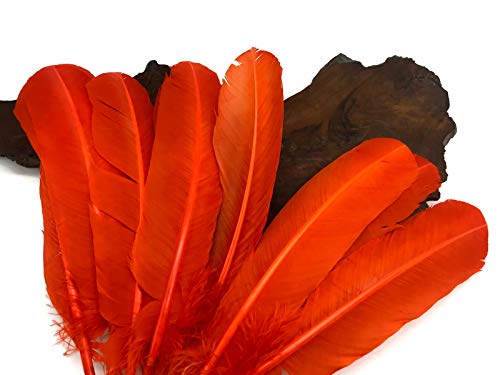 6 Pieces - Orange Turkey Rounds Secondary Wing Quill Feathers Halloween Cosplay Costume Supply | Moonlight Feather #TOP7