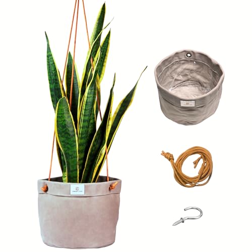 Concept Casa - Large Waxed Canvas Handmade Hanging Planter for Indoor/Outdoor Plants, Hanging Basket Plant Holder Stone Gray with Hook