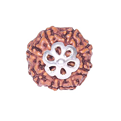 Image of REBUY 8 Mukhi Rudraksha Pendant Indonesian /Java Rudraksha Lab Certified Original Rudraksha Pendant for Men & Women, Origin Indonesian, Color Brown
