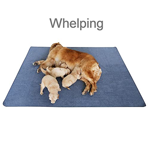 Peepeego Upgrade Non-Slip Dog Pads Extra Large 72" X 72", Washable Puppy Pads With Fast Absorbent, Reusable, Waterproof For Training, Travel, Whelping, Housebreaking, Incontinence, For Playpen, Crate #TOP3