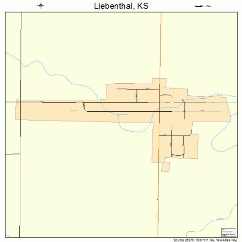 Large Street & Road Map of Liebenthal, Kansas KS Printed poster size