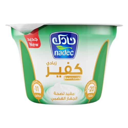 Nadec Yoghurt Kefir Plain 160GM