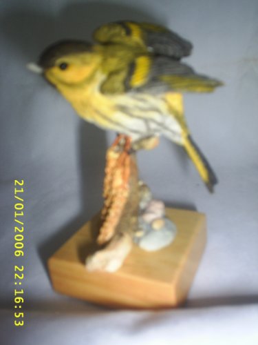 Country Artists Bird Model Siskin on Perch by Country Artists