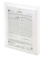 Algopix Similar Product 13 - Lion StringALong Clear Poly Envelopes