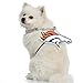 Littlearth NFL Pet Fan Chain Denver Broncos