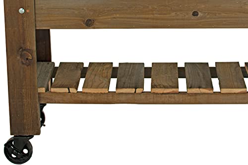 Est. Lee Display L D 1902 Raised Bed Planter Box On Wheels Cast Iron Swivel Casters With Brakes Elevated Containerized Galvanized Steel Potting Box And Shelf 39In Length X 33In Height X 15In #TOP2