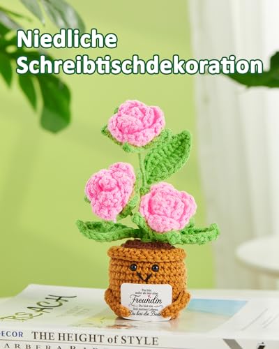 Yiminu.DS Beste Freundin Geschenke, Geschenk Freundin Geburtstag, Geburtstagsgeschenk für Freundin Personalisierte Pocket Hug Rosen Blumen