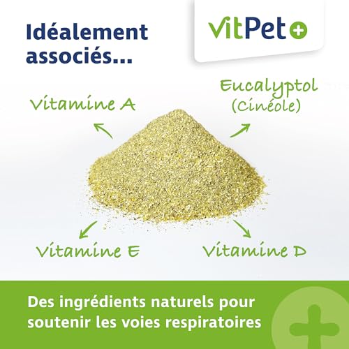 VitPet+ PneumoVit – Bei Husten Pferd – 1,2 kg – Mit natürlichem Eukalyptol – Zur Unterstützung von Atemwegen und Immunsystem – Erleichtert das Abhusten – Schleimlösend und beruhigend
