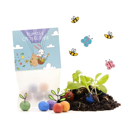 Regalo de Pascua 'saludos florales de Pascua' – Juego de 10 x 5 canicas de flores de colores l pequeñas bolas de semillas en una bolsa con un conejo de Pascua en globo aerostático l regalo de Pascua l