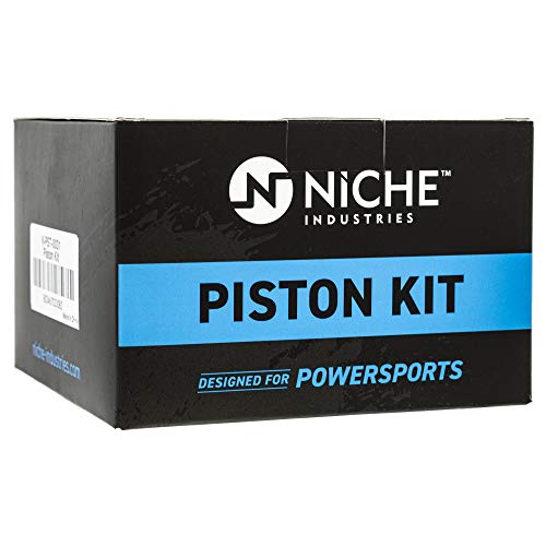 Niche Stock Piston Kit For Honda Sportrax Xr400R Trx400 13101-Kcy-670 13102-Kcy-670 13103-Kcy-670 #TOP1