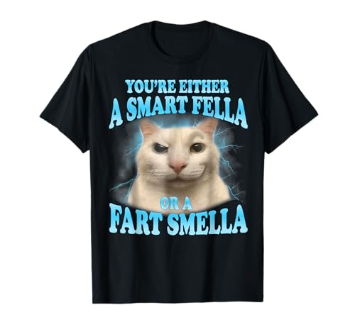 You're Either a Smart Fella or a Fart Smella Funny Cat Meme T-Shirt