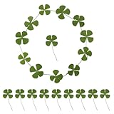 Quadrifoglio: questo prodotto ha un design unico; la forma del quadrifoglio è bellissima e simboleggia buona fortuna. Ogni quadrifoglio è dotato di uno stelo, che consente di creare facilmente una varietà di creazioni creative.