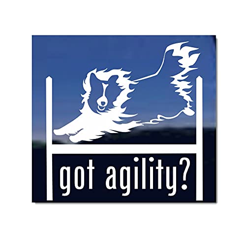 Agility Dog Agility Sheltie Vinyl Window Decal Sticker