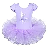 BAOHULU Leotard for Girls Ballet Dance Short Sleeve Full Tulle Tutu Skirted Dress Ballerina Costumes