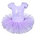 BAOHULU Leotard for Girls Ballet Dance Short Sleeve Full Tulle Tutu Skirted Dress Ballerina Costumes