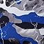 Black Blue Black Blue