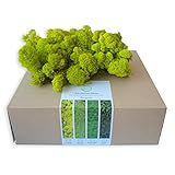 # Contenido: Lichene Estabilizado Premium Color Verde Mela 1000 gr.