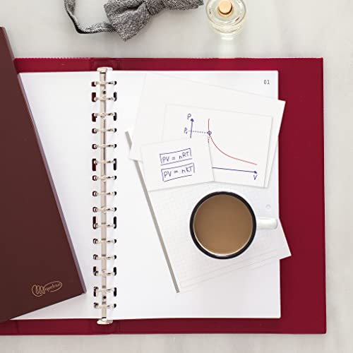 Miquelrius - Flashcards, 100 cartoncini lisce