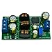Hlsicnalm Module with Terminals PCB 20W DC3.6-30V Multi-Function Car Audio ADC//Amplifier Power Module