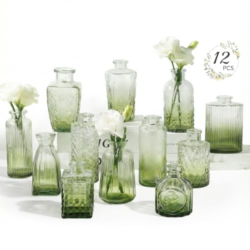 RUCKAE 12 Pack Glass Bud Vases Mini Flower Vase Small