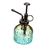Vaporisateur pour plantes : convient aux petites plantes d'intérieur et de jardin, aux plantes suspendues d'intérieur et d'extérieur, aux plantes de table, etc