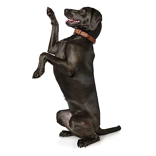 Hunter 42787 Halsband für Hunde Canadian Elk 55 nickel_Elchleder cognac/Elchleder schwarz, 42-48 cm