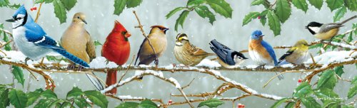 Buffalo Games 750 Piece Panoramic Jigsaw Puzzle: Winter Songbirds