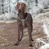 FEimaX Hundegeschirr Mittelgroße Hunde Ausbruchsicher Haustier Taktisches Anti Zug Y-Geschirr No Pull Hundegeschirr Große Hunde, Atmungsaktives Verstellbares Brustgeschirr mit Gepolstert (Grau, XL)