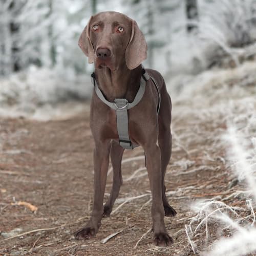 FEimaX Arnés para Perros Grande, No-Pull Arnés Chaleco con Acolchado Antitirones Ajustable para Perro Mediano Arnés Táctico sin Titirones para Mascotas Adiestramiento Correr - imagen 9
