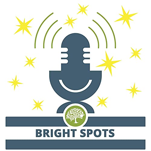 Bright Spots in Education Titelbild