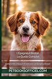 epagneul breton cane  L’Épagneul Breton – Le Guide Complet: Comprendre, éduquer et vivre avec un Épagneul Breton