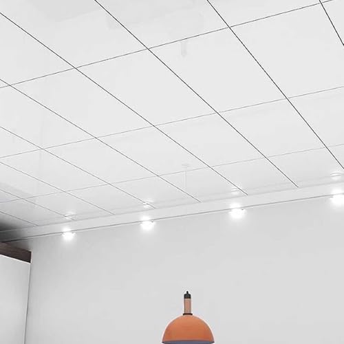 Paneles de Techo Paneles de Techo Autoadhesivos de PVC Impermeable, Revestimiento Decorativo de Pared para Cochera/Armario/Dormitorio/Cine en Casa(White,100pcs(9㎡))