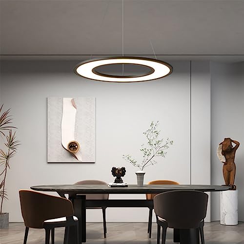 Lampe suspendue pour table à manger et éclairage d'intérieur à LED