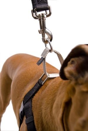 5/8" SM Black Freedom No-Pull Harness ONLY- Direct from Inventor