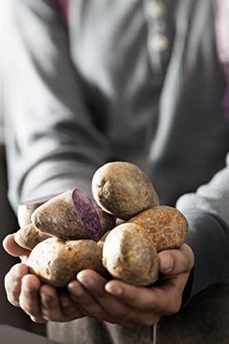 RÖSLE Kartoffelpresse, hochwertige Presse zur Zubereitung von Kartoffelpüree, einfache Reinigung, Edelstahl 18/10, Spülmaschinengeeignet… – Ansicht 4