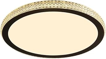 LED Flush Mount Ceiling Light Warm 3000K Ultra-Thin 1.9in Lamp High-Light Acrylic ShadeDark,Small
