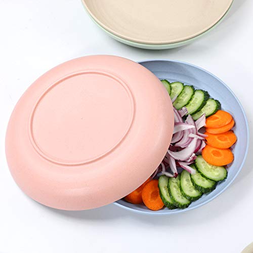 Wwyybfk 10 Inch 4Pcs Unbreakable Dinner Plate-Reusable Plate Set And Microwave Safe-Bpa-Free Sturdy Tableware-Perfect Choice For Fruit Plater, Dinner,Dishes #TOP5