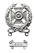 Expert Shooter Qualification badge with Rifle tab