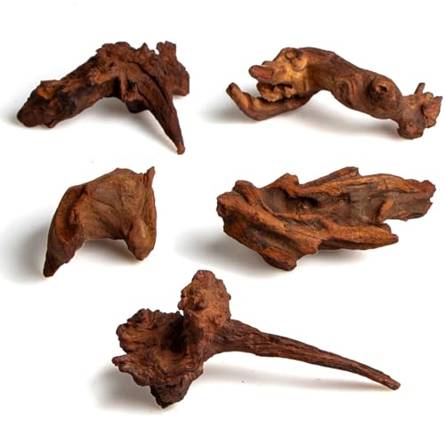 emours Kleines Aquarium Treibholz, 5,1–15,2 cm, natürliche gedrehte Zweige, gerbarm, ideal für Garnelen/Betta- und Nano-Aquascapes, auch für Reptilien-Terrarien (5)
