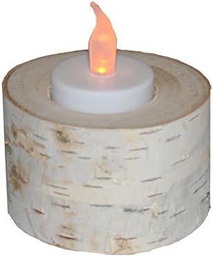 WilsonWhite Birch Tealight Candle Minis (Set of 5)